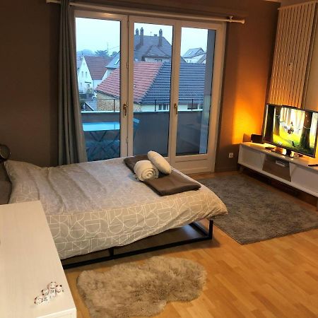 Cosy-Adventure : Haguenau Lejlighed Eksteriør billede